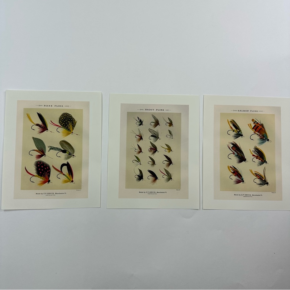 Fishing Fly Fishing Lures by Mary Orvis Marbury Prints Artwork for Hanging